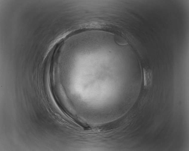 X0000085830675200703161324