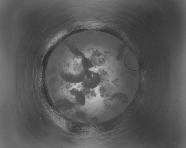 X0000085830679200703161324