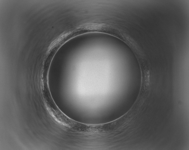 X0000085830682200703161324
