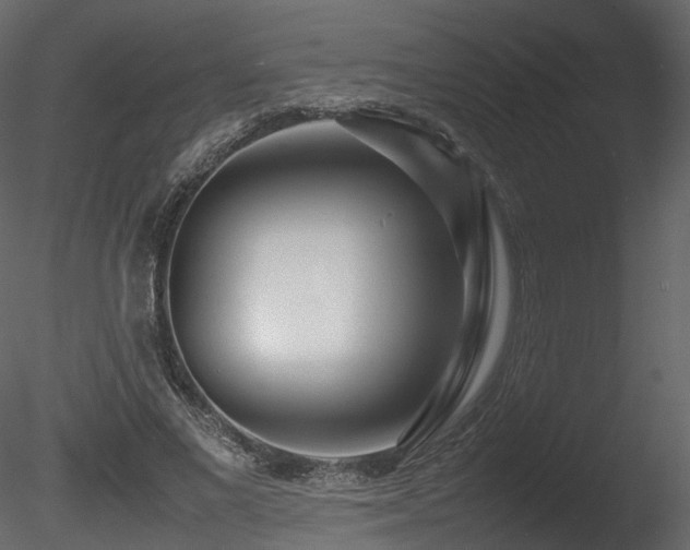 X0000085830685200703161324
