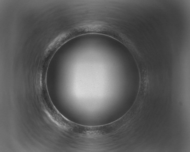 X0000085830686200703161324