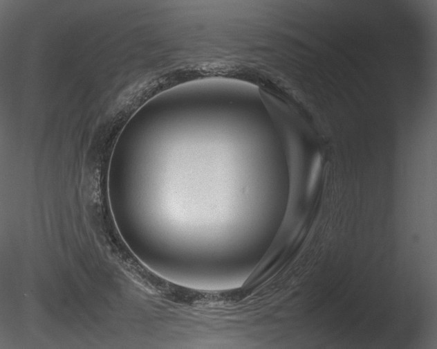 X0000085830689200703161324