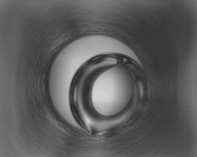 X0000085830696200703161324