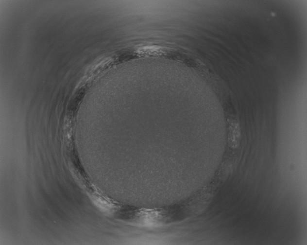 X0000085830701200703161324