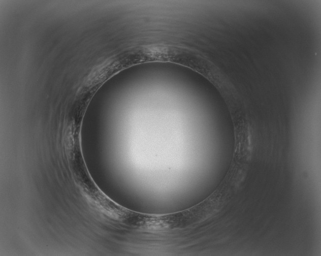 X0000085830702200703161324