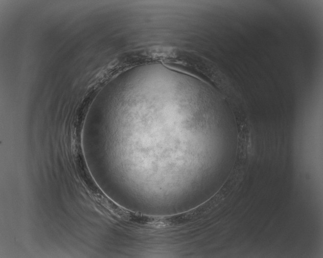 X0000085830704200703161324