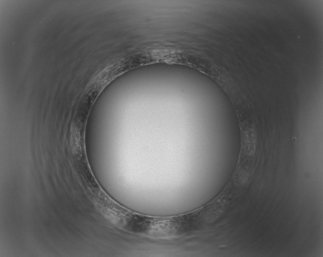 X0000085830705200703161324
