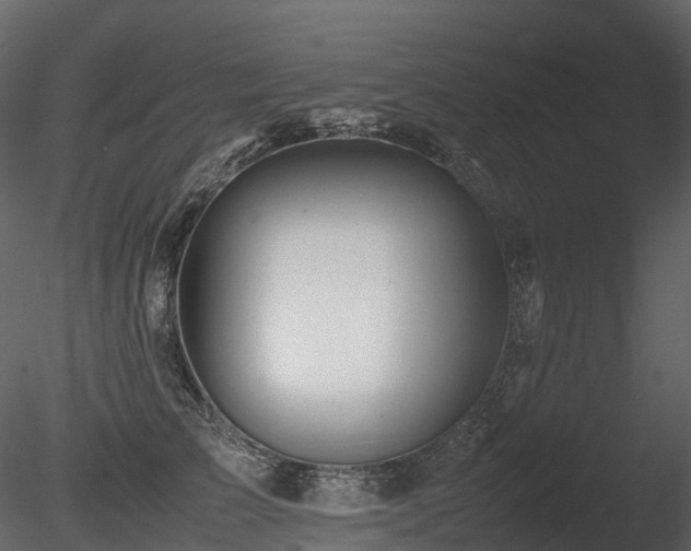 X0000085830709200703161324