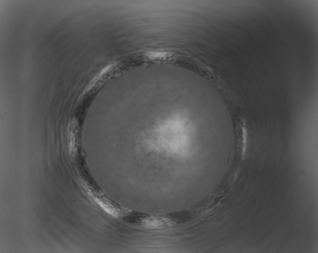 X0000085830712200703161324