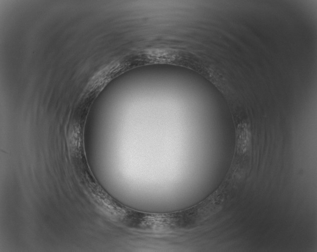 X0000085830713200703161324