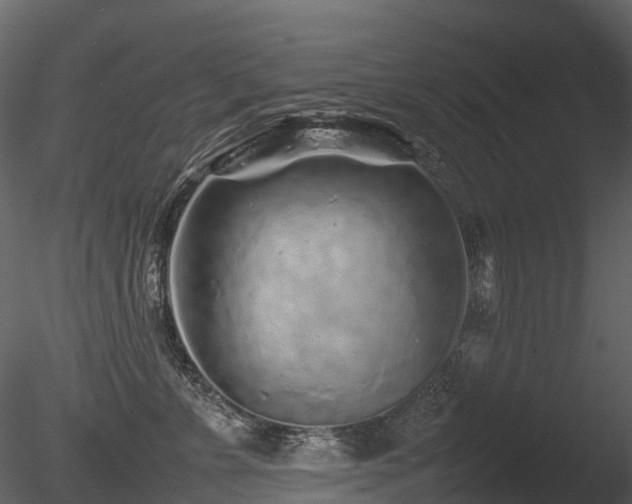 X0000085830715200703161324