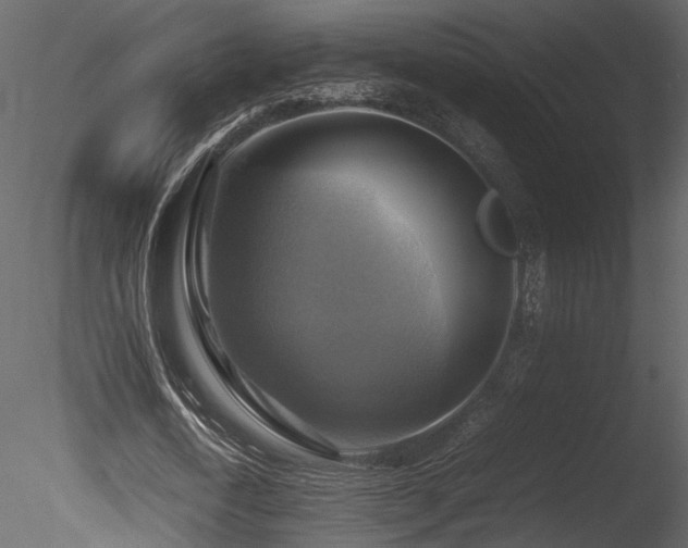 X0000085830722200703161323