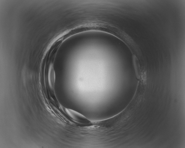 X0000085830724200703161323