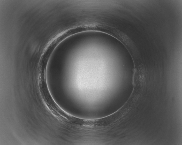 X0000085830728200703161323