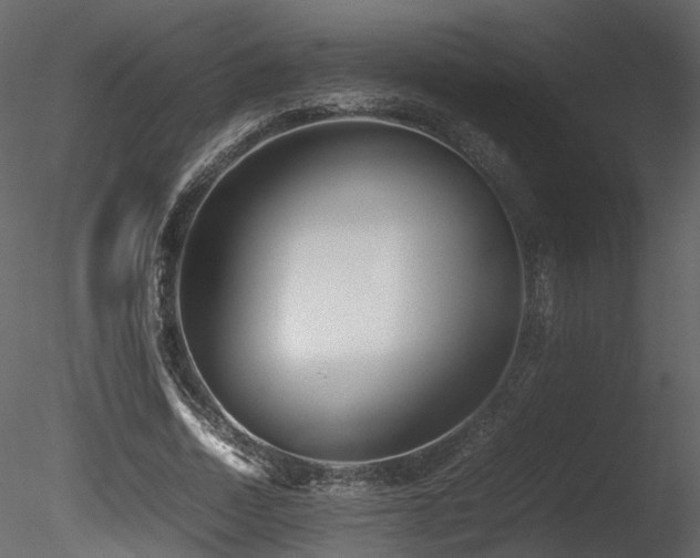 X0000085830730200703161323
