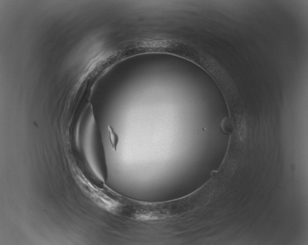 X0000085830731200703161323