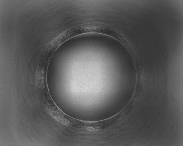X0000085830737200703161323