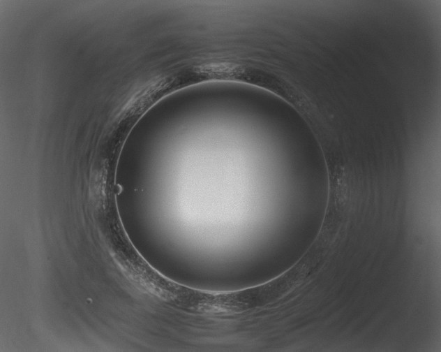X0000085830739200703161323