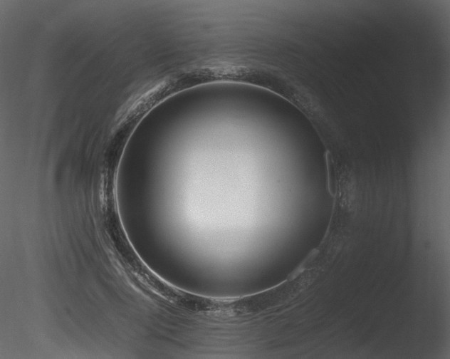 X0000085830740200703161323