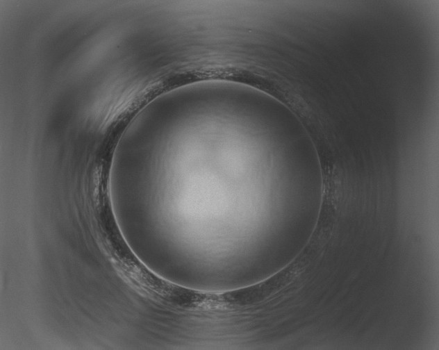 X0000085830742200703161323