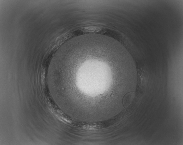 X0000085830745200703161323