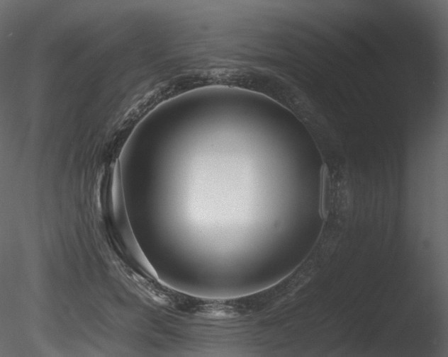 X0000085830750200703161323