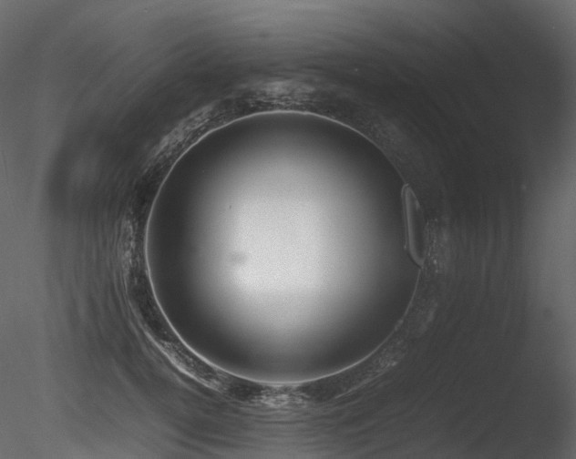 X0000085830752200703161323
