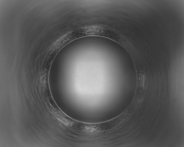 X0000085830753200703161323