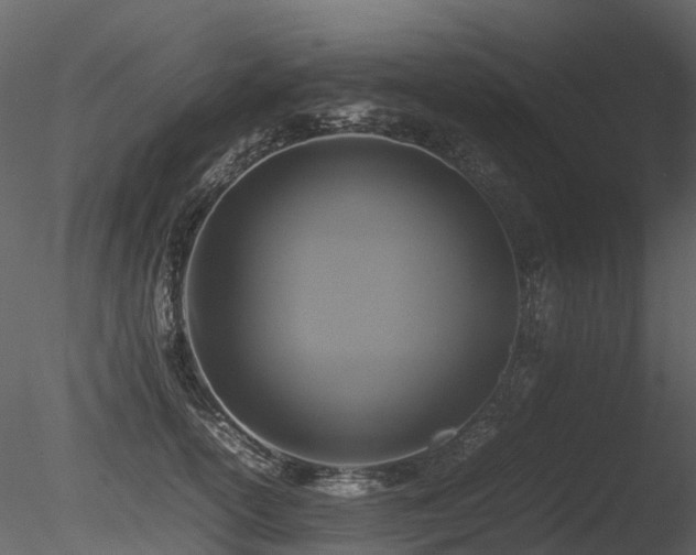 X0000085830754200703161323