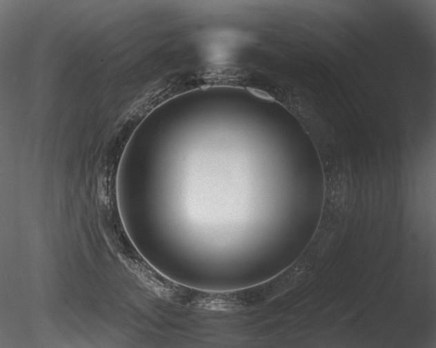 X0000085830755200703161323