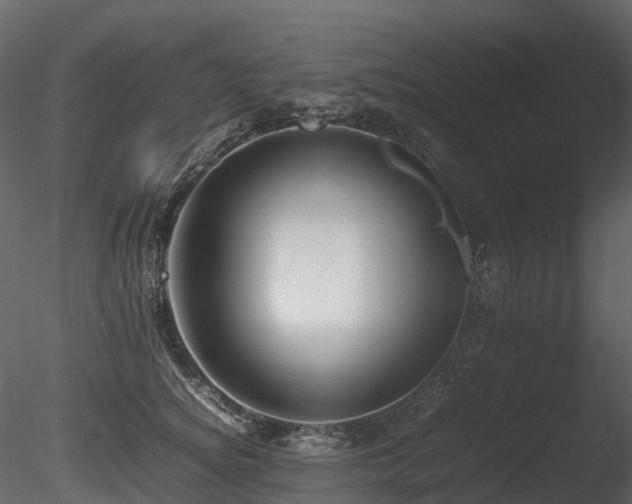 X0000085830756200703161323