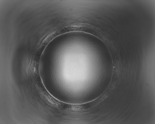 X0000085830758200703161323