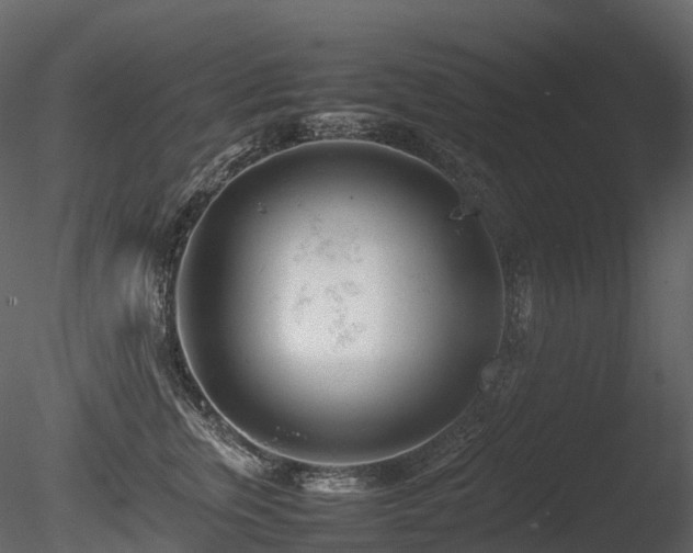 X0000085830759200703161323
