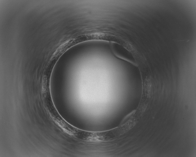 X0000085830760200703161323
