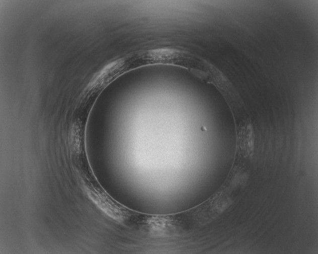 X0000085830762200703161324