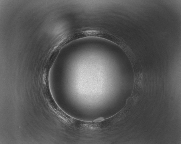 X0000085830763200703161324