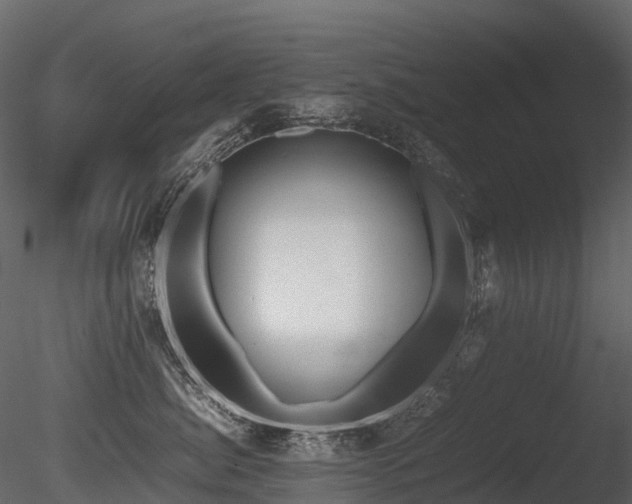 X0000085830764200703161324