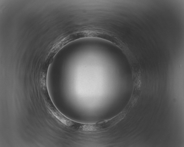 X0000085830766200703161324