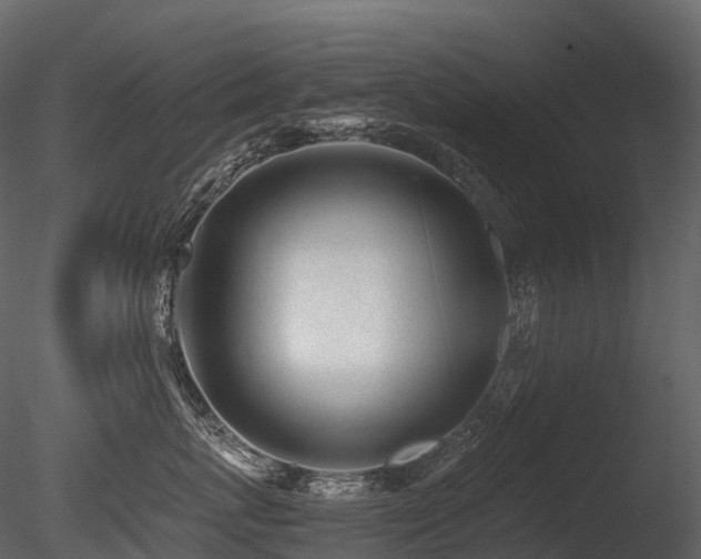 X0000085830767200703161324