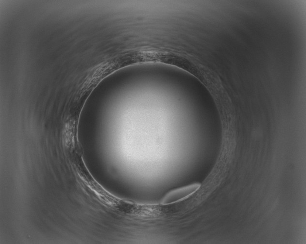 X0000085830768200703161324