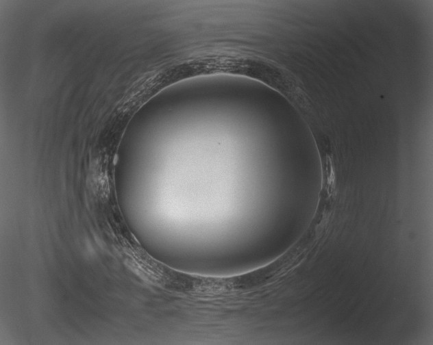 X0000085830771200703161323