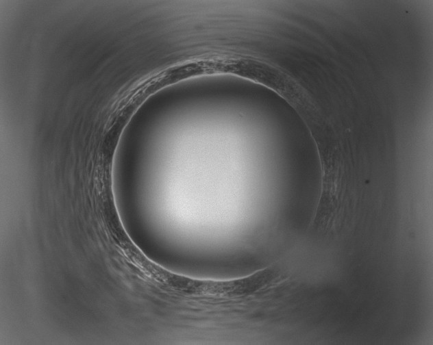 X0000085830773200703161323