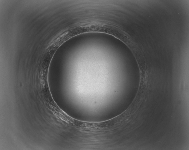 X0000085830774200703161323