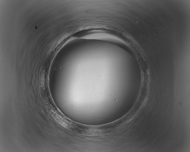 X0000085830777200703161323