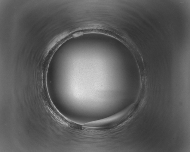 X0000085830781200703161323