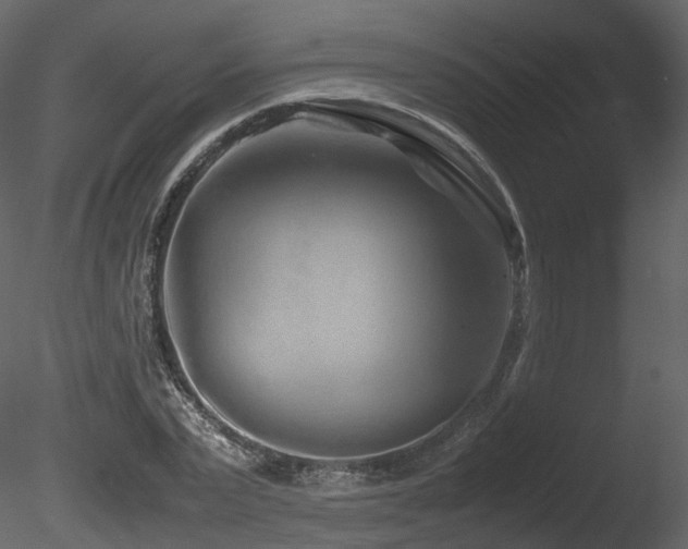 X0000085830783200703161323