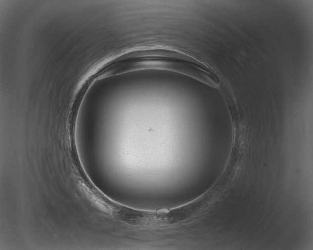 X0000085830789200703161322