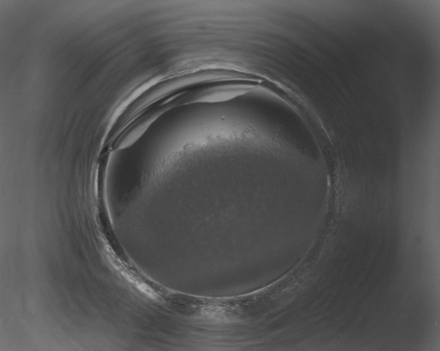 X0000085830790200703161322