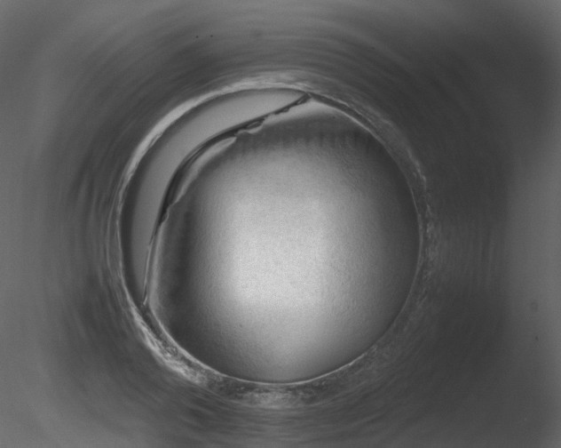 X0000085830792200703161322