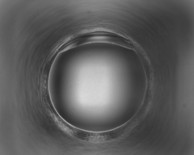 X0000085830793200703161322